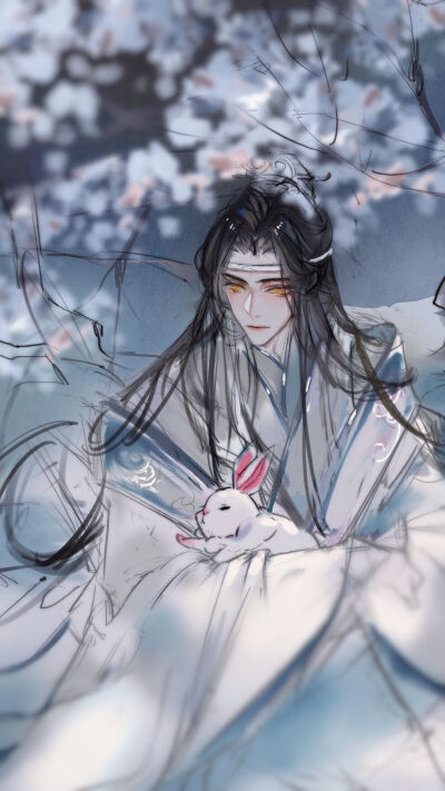 魔道祖师魏无羡蓝忘机忘羡