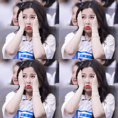 大虞海棠 磕就完了