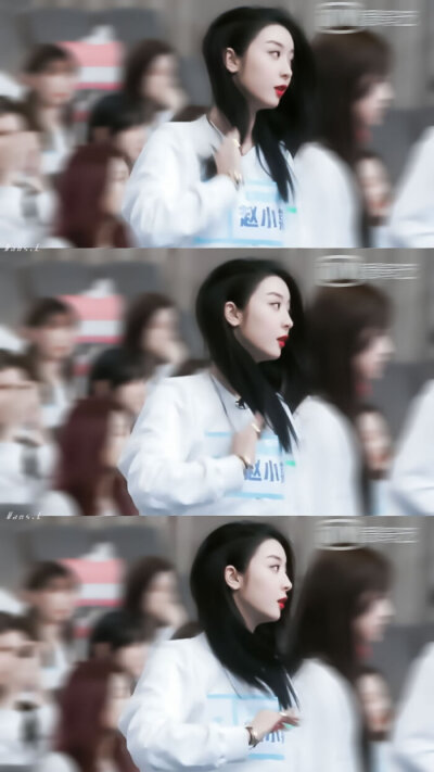 大虞海棠 磕就完了