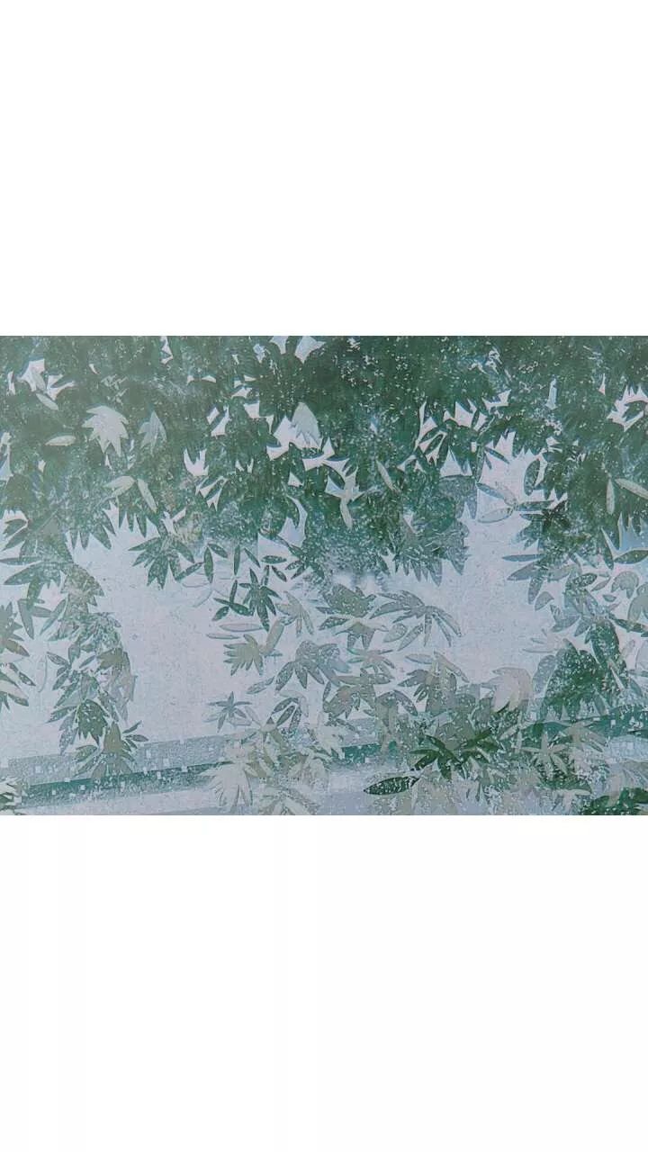 喜欢不过是夏时梅子