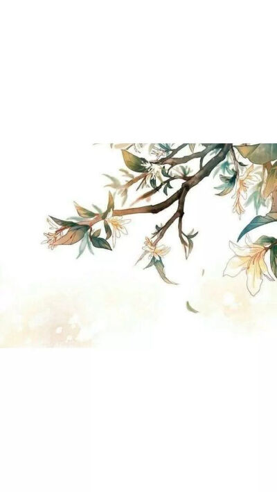 喜欢不过是夏时梅子