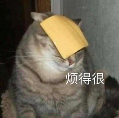 猫狗表情包