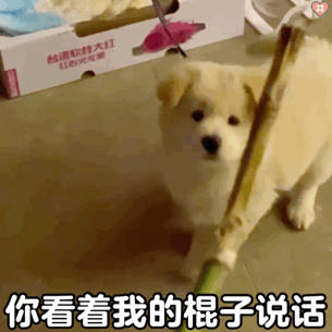 狗狗表情包动图
是小熊的表情包哦