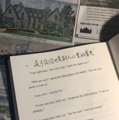 永远只为心动温柔