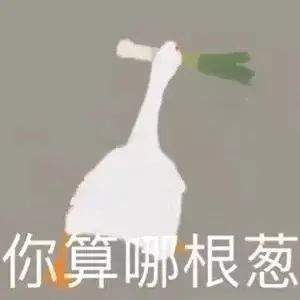 大鹅表情包