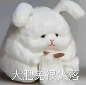 2333