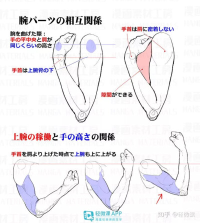 手臂结构