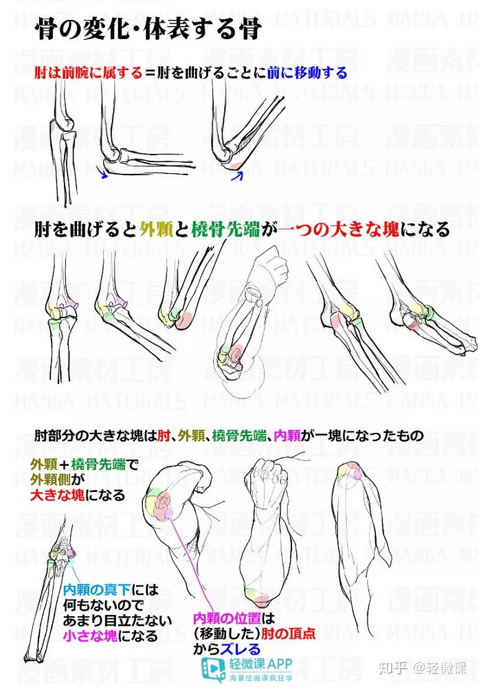 手臂结构