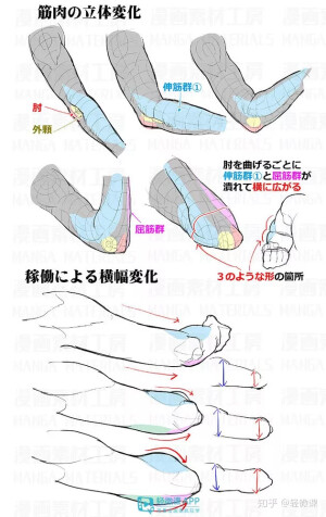 手臂结构