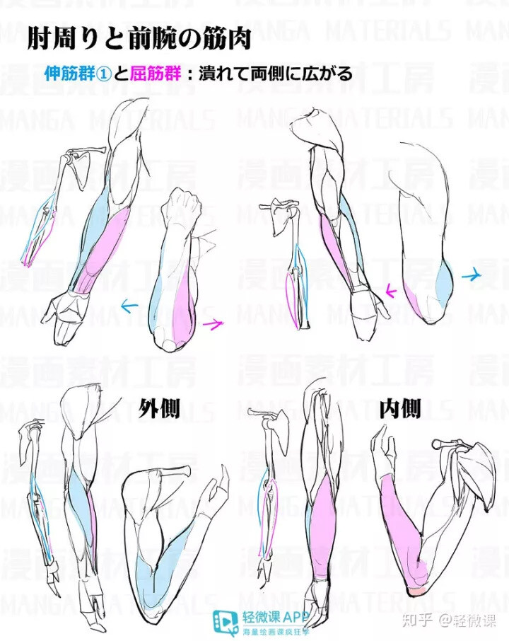 手臂结构