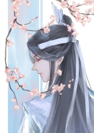 魔道祖师 蓝忘机