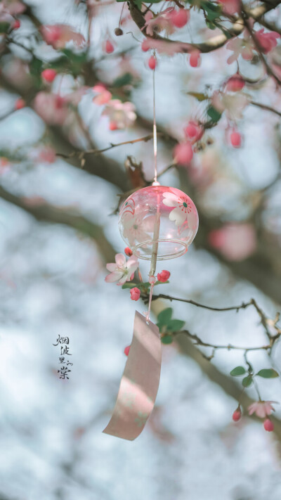 壁纸｜风景｜迪士尼｜樱花｜富士山｜日本