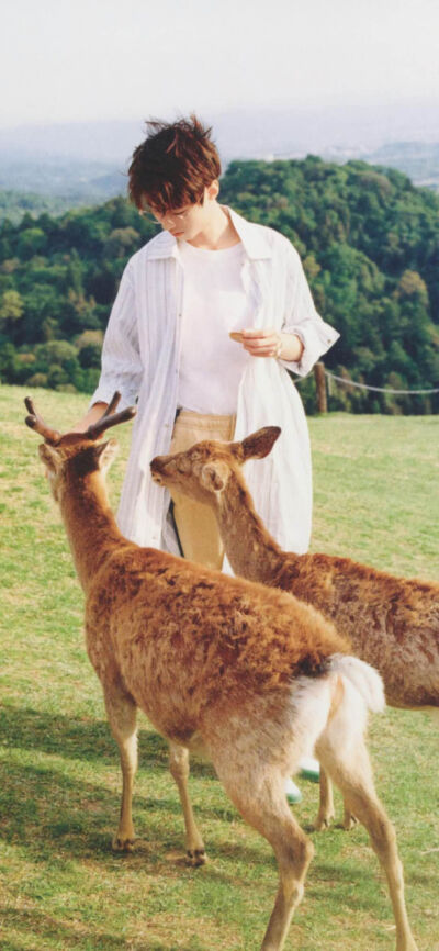 老王#壁纸壁纸#