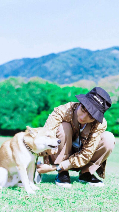 老王#壁纸壁纸#