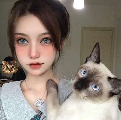 (๑•̀ㅂ•́)و✧