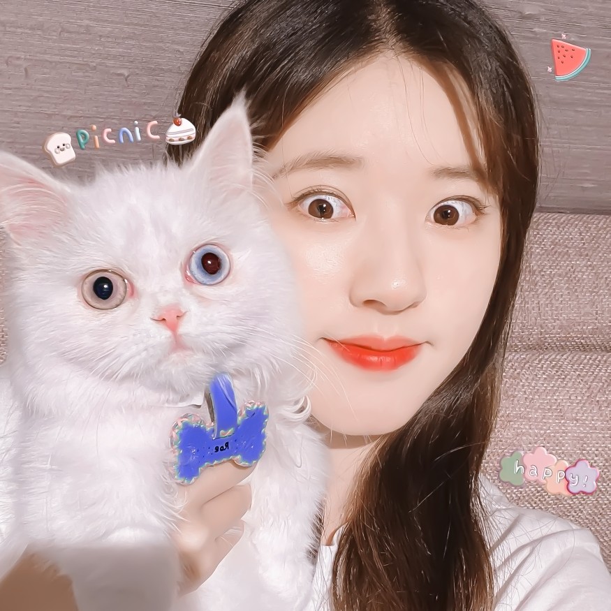  ◆ ◇ RED LIPSTICK