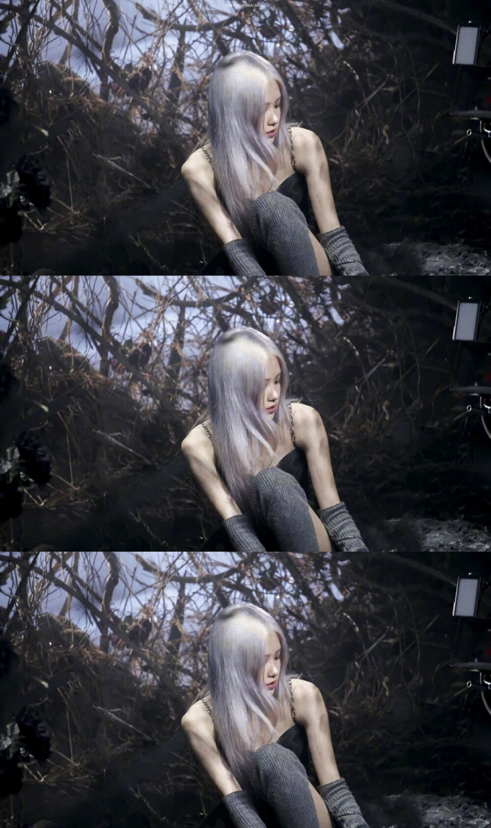 rose蓝发绝了 - 堆糖,美图壁纸兴趣社区