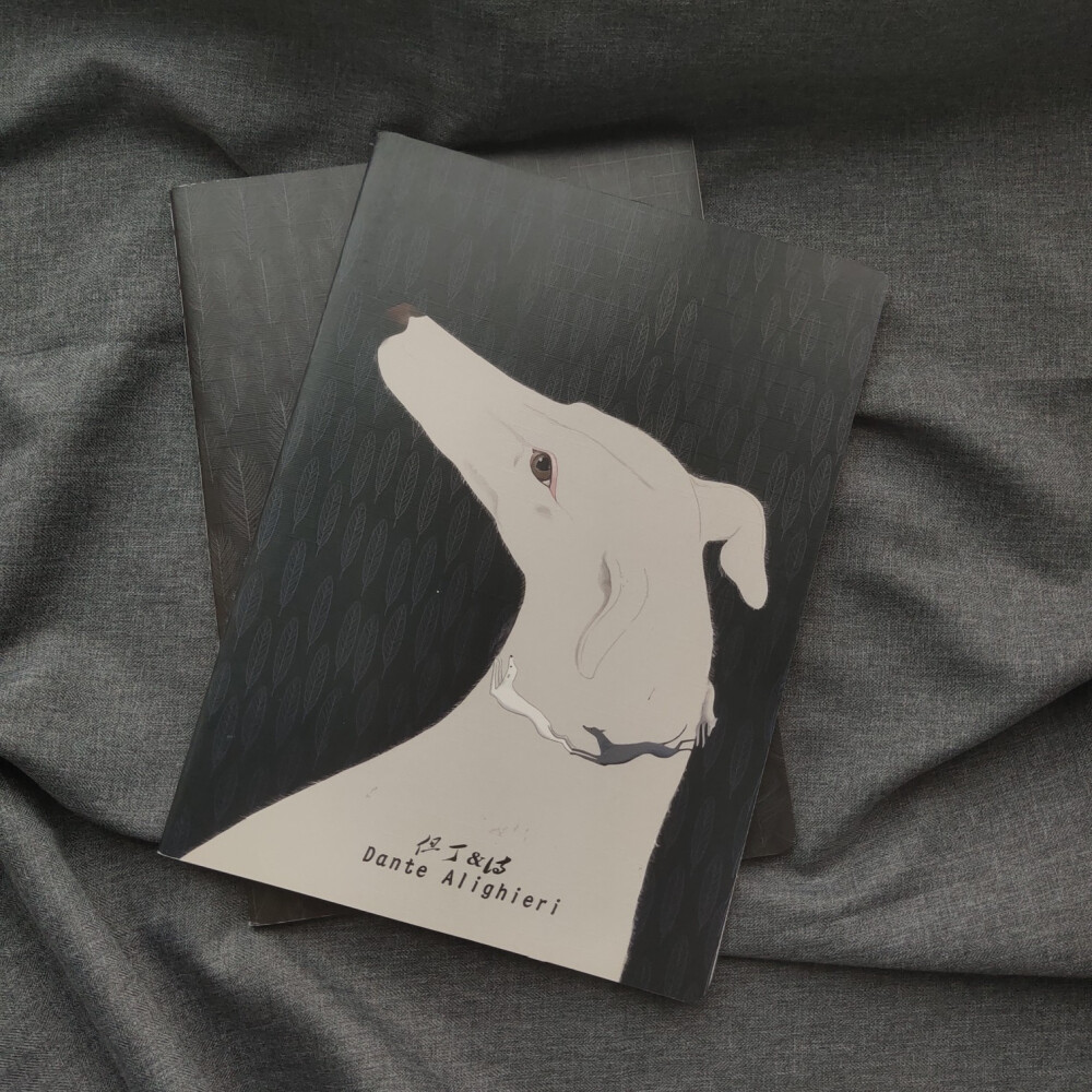 我们有过各种创伤，但今天应该快活
拍摄：菲咪