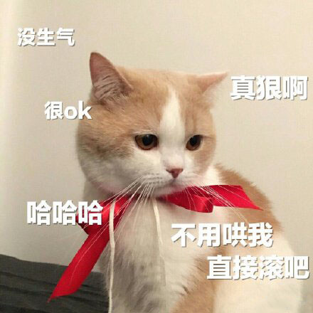 沙雕可爱表情包/一杯月白/谢绝二传