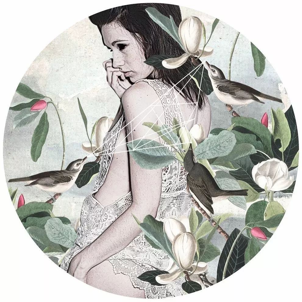 这些是英国拼贴艺术家Alexandra Gallagher在个人创作项目《少女和鸟》（Birds with Birds）中最有趣的特征。