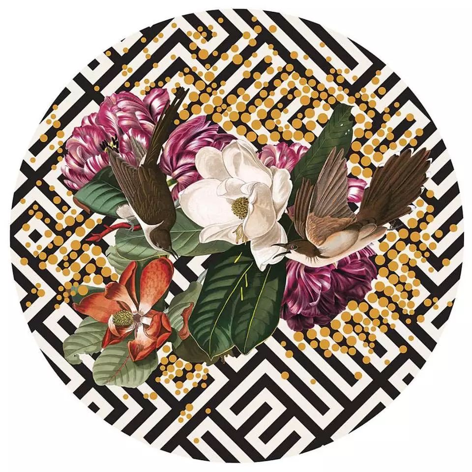 这些是英国拼贴艺术家Alexandra Gallagher在个人创作项目《少女和鸟》（Birds with Birds）中最有趣的特征。