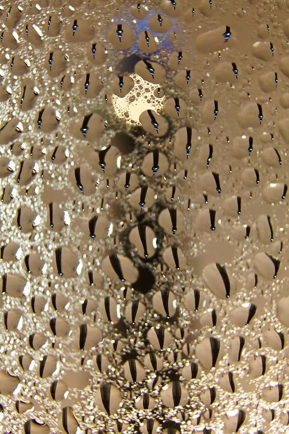 如果说摄影本身就是一种反射捕捉，那么摄影师Kaz Arahama则是将这种反射捕捉到了极致。1964年出生于日本的他，大学主修英国文学，为成为一名职业摄影艺术家，后来去F.I.T（纽约时装学院）深造。在做助理的几年开始了职业生涯。911事件后搬回日本。
