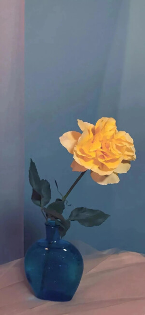 小清新全屏壁纸