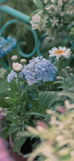 小清新全屏壁纸