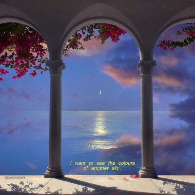 微博，温柔种茧