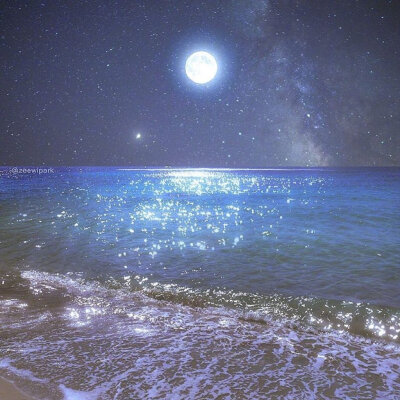 微博，温柔种茧