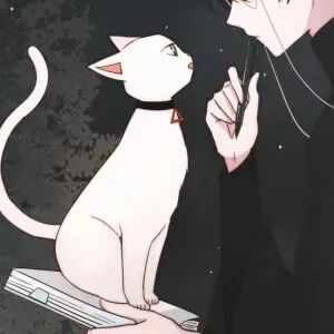 情头之对象不是人系列②