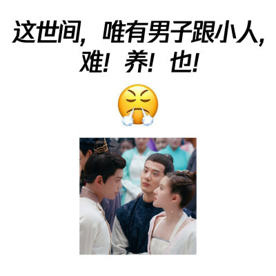 传闻中的陈芊芊