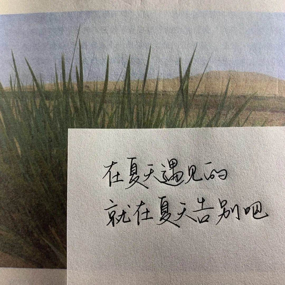 毕业语录