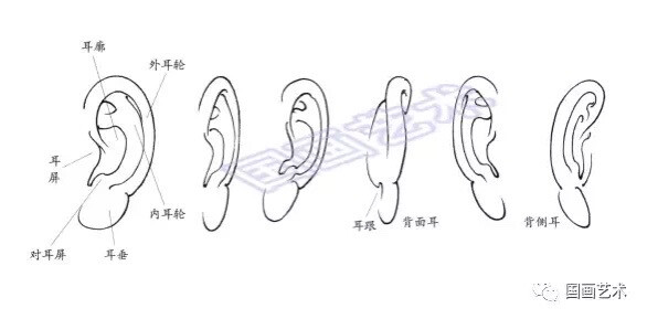 人物結(jié)構(gòu)