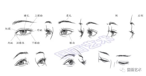 人物結(jié)構(gòu)