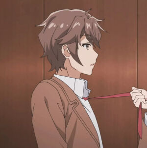 【动漫情头】青春猪头少年不会梦到兔女郎学姐