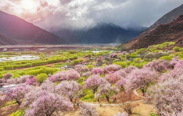 西藏小江南——林芝