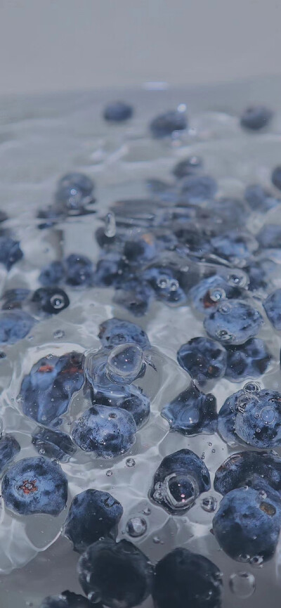 壁纸 背景图 素材蓝莓 水果