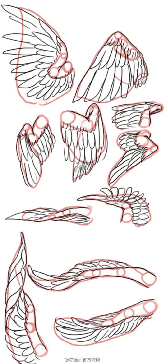 翅膀的画法