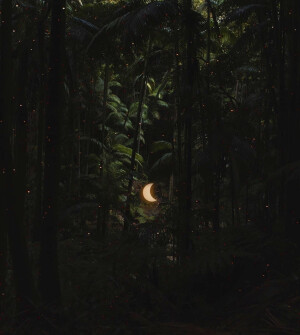 02 /

唯美壁纸。

世间万物复苏，
我的心依旧沉寂在茫茫大海。
