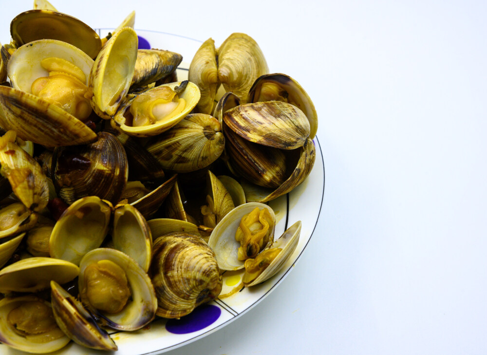 炒蛤蜊 蛤蜊 炒 炒菜 美食 食物 烹调 烹饪 容器 盘子 瓷盘 异形盘 白色瓷盘 圆盘子 静物 食品 中国 新鲜 特写 海鲜 贝壳 饮食 美味 形状 白色背景 摄影 亚洲 健康食物 海产 甲壳动物 有机食品 食物状态 营养 饮食文化 健康食品 海蛤 膳食 户内 主题 贝类 红辣椒 尖椒 绿色食品
