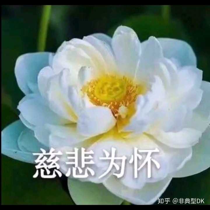 奥利给
