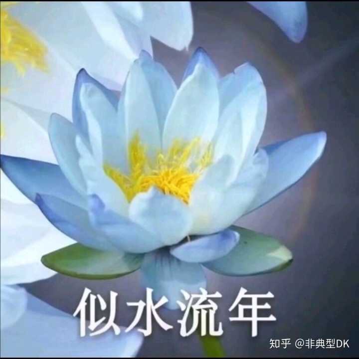 奥利给
