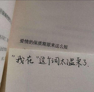 壁纸