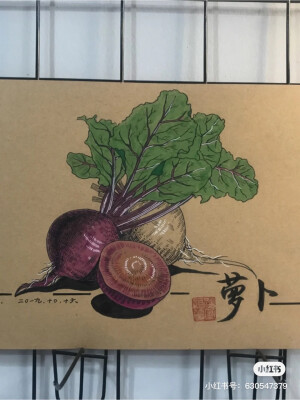 创意线描写生
