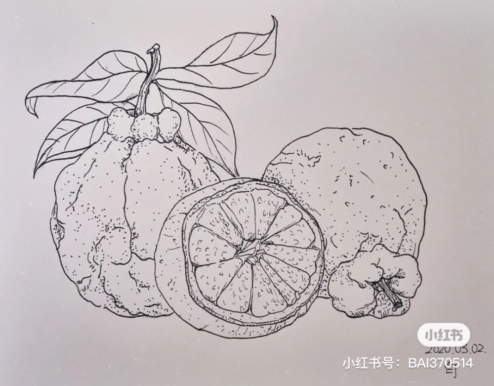 创意线描画