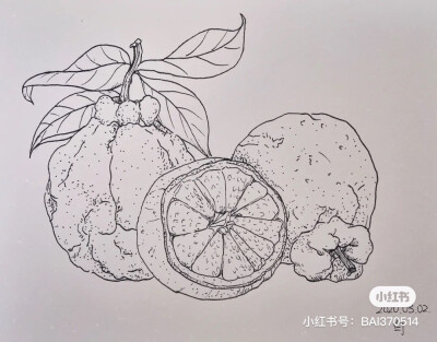 创意线描画