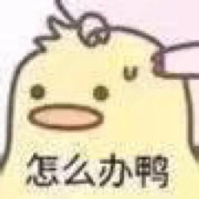沙雕可爱表情包/一杯月白/谢绝二传