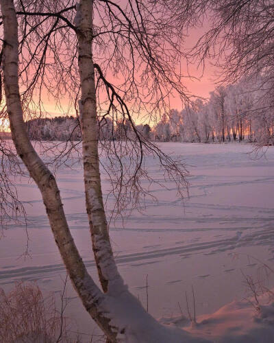 雪景