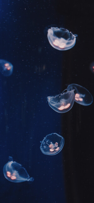 欧美风壁纸意境壁纸风景壁纸手机桌面锁屏高清壁纸ins壁纸